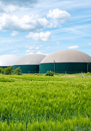 From biogas to biomethane