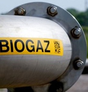 biogas meters